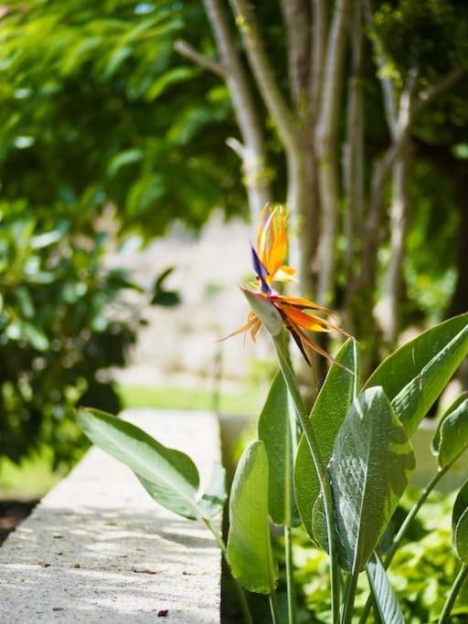 Private House With Pool & Garden Villa กวีมาร์ ภายนอก รูปภาพ