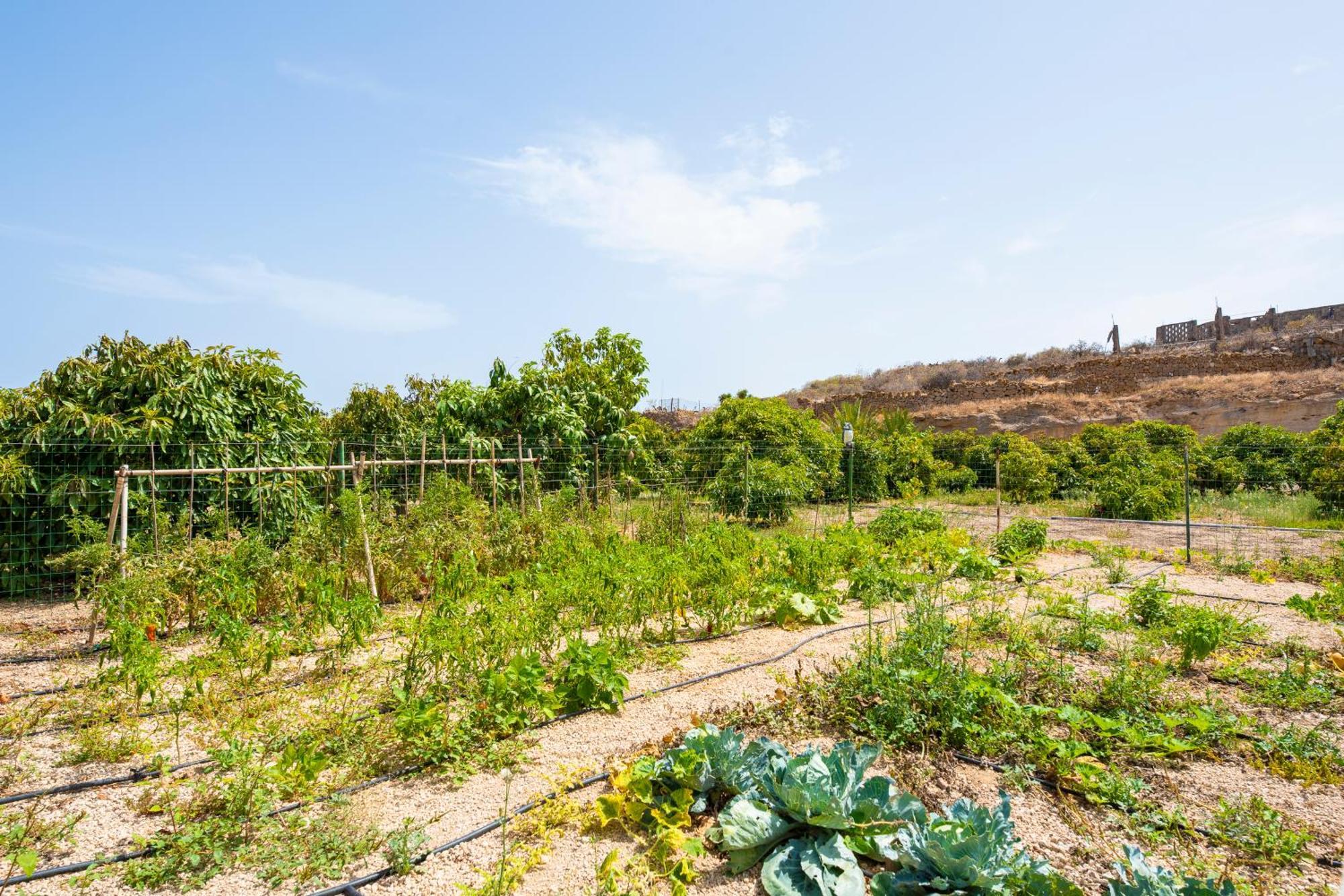 Private House With Pool & Garden Villa กวีมาร์ ภายนอก รูปภาพ